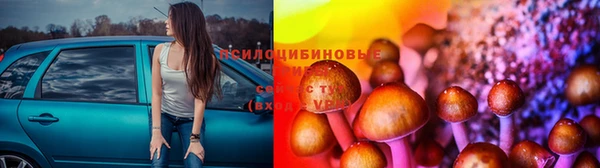 jwh Пролетарск