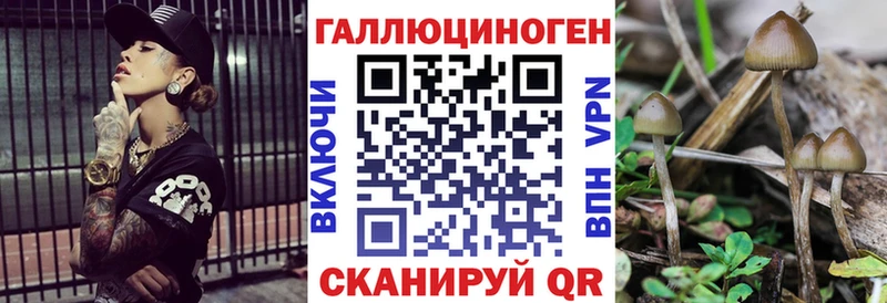 Купить закладки  Черноголовка  Галлюциногенные грибы Cubensis 
